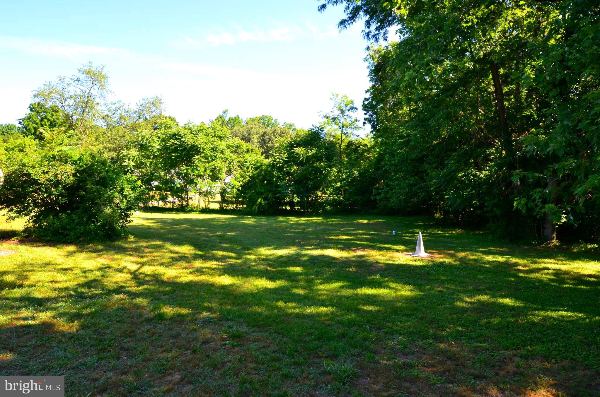 1416 Wrighton Road Lothian, MD 20711 - Photo 6 of 49 Rear yard almost 1 acre