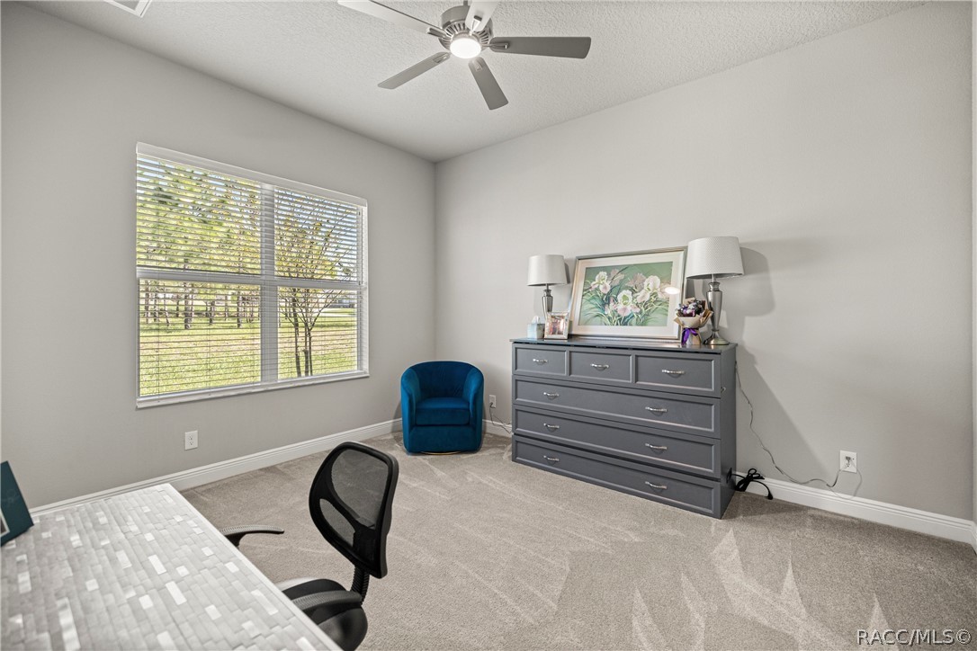 2371 North Peakview Loop Hernando, FL 34442 - Photo 46 of 99
