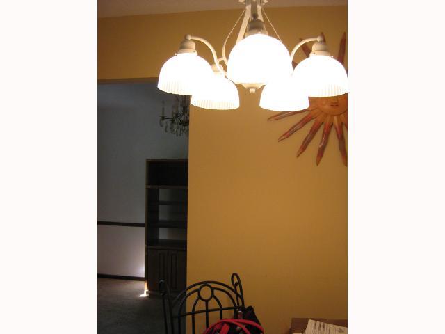 5507 Cedarbush Road Columbus, OH 43229 - Photo 10 of 17 Gallery Image 10