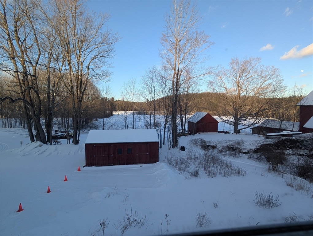 527 Main Street, Unit 2 Ashfield, MA 01330 - Photo 18 of 27 a view of backyard with large trees