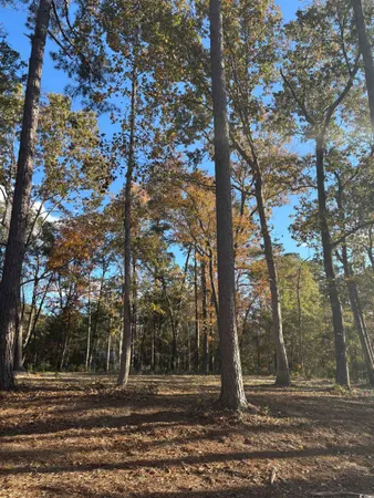 $24,500 | 282 Pineneedle Circle, Johnsonville, SC 29555