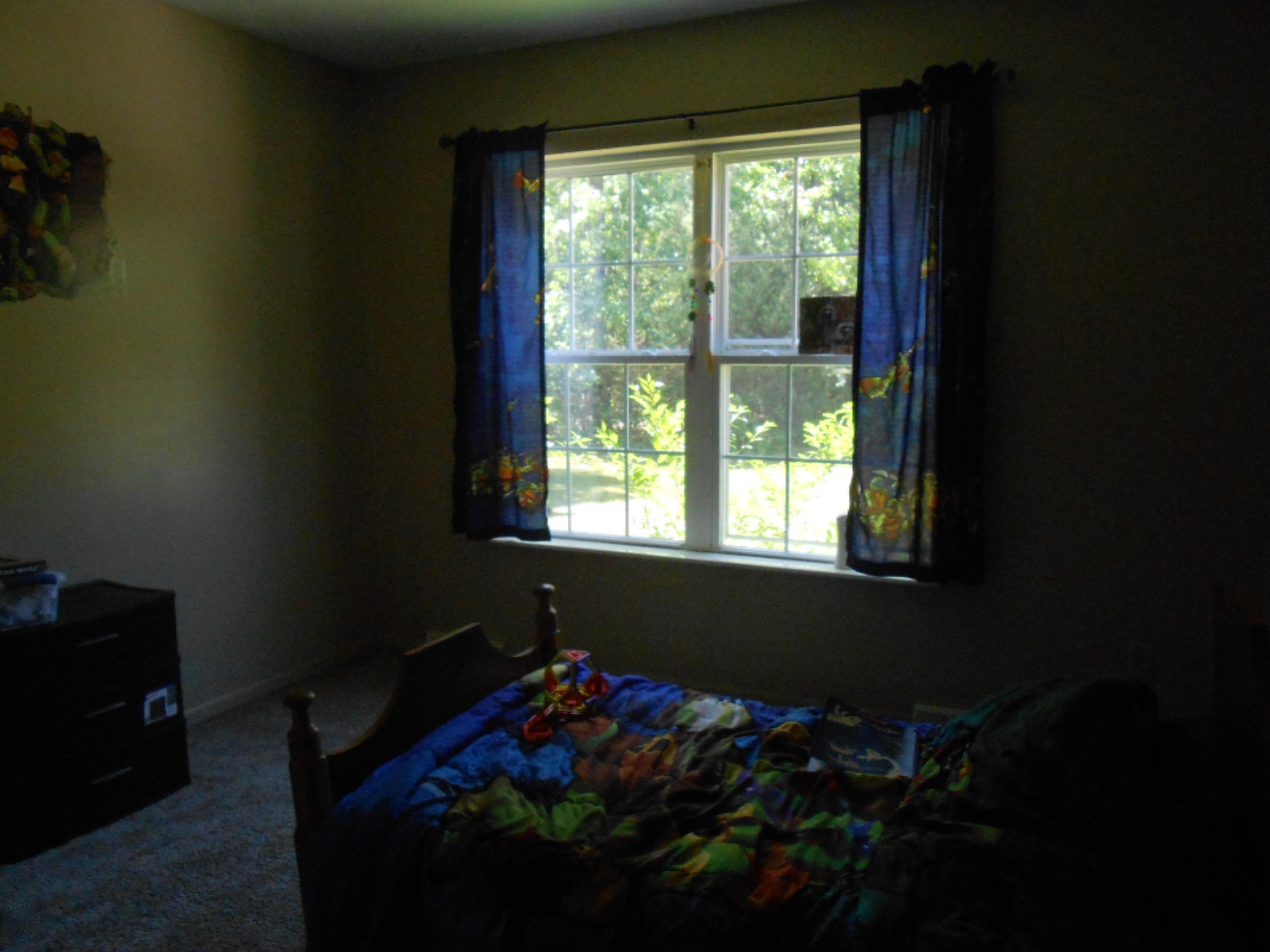 3695 Brunswick Road Holton, MI 49425 - Photo 13 of 17 DSCN2442