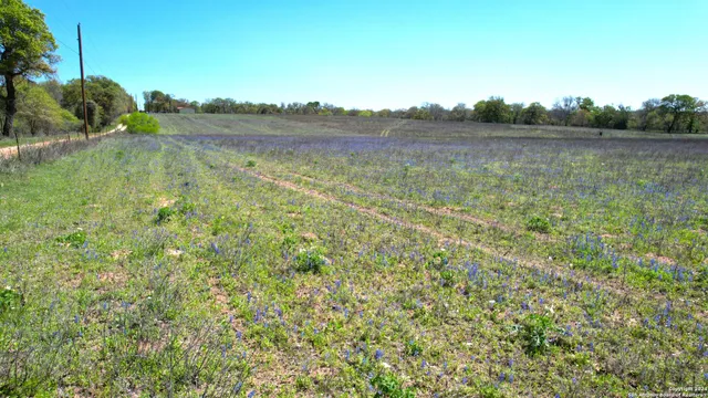 $325,000 | 13746 Farm To Market Road 539, La Vernia, TX 78121
