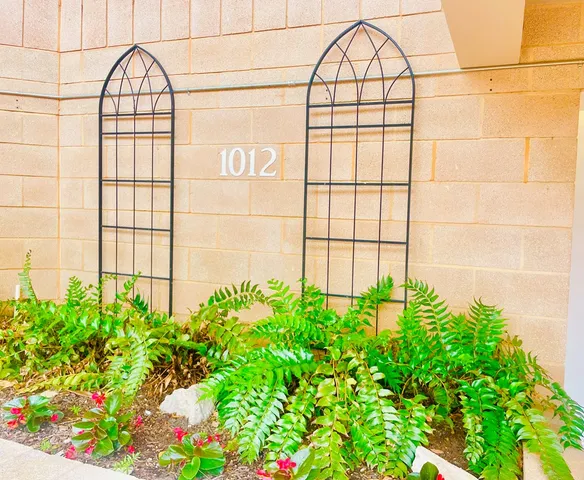 a view of a backyard with plants