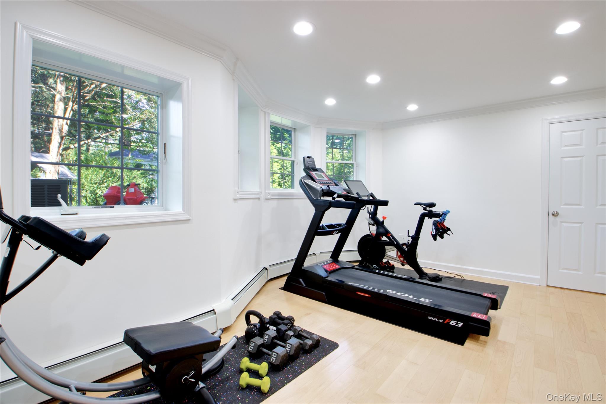 39 Squirrel Hill Road East Hills, NY 11577 - Photo 26 of 35 a room with gym equipment and windows