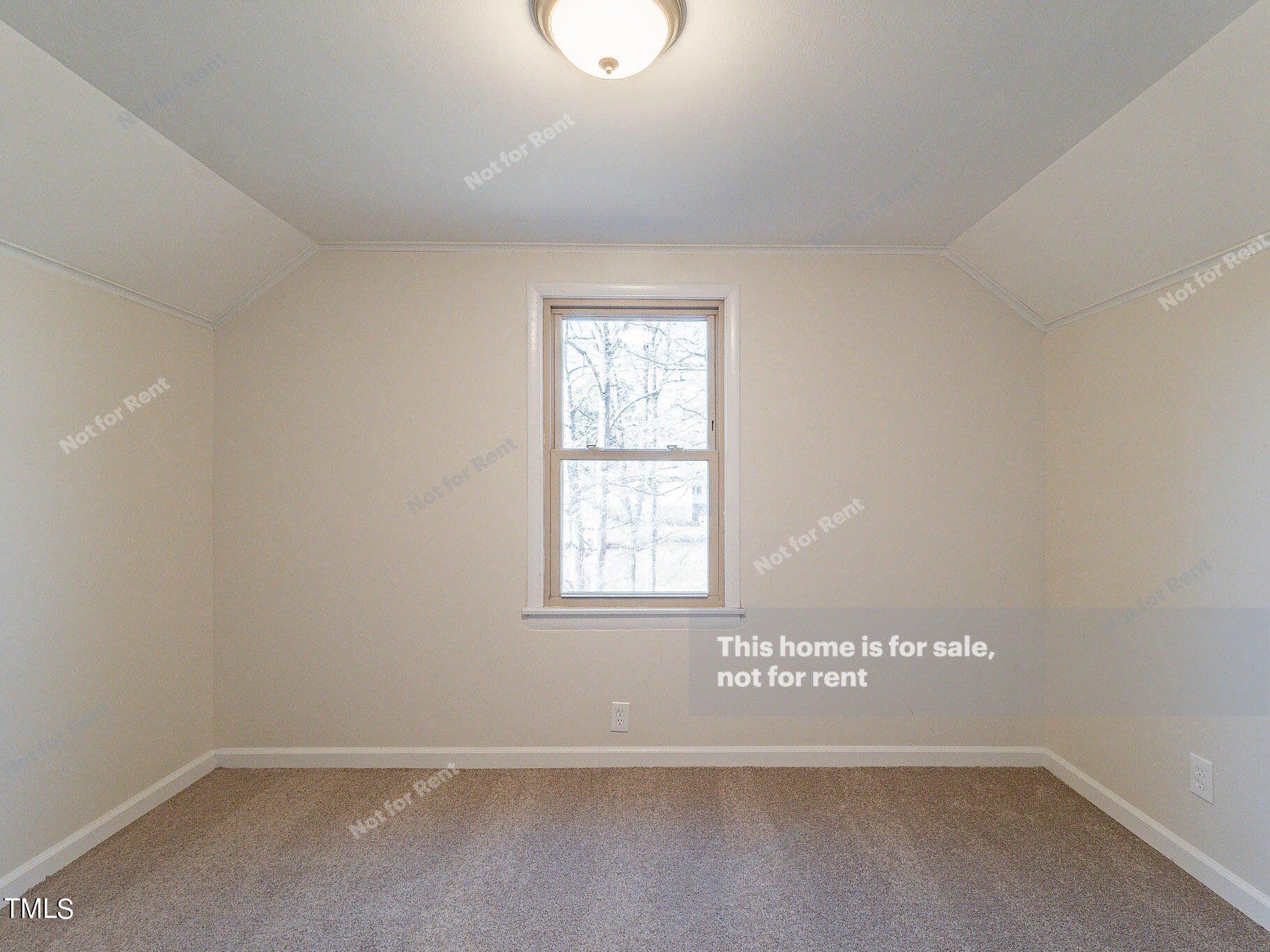 412 Lake Road Creedmoor, NC 27522 - Photo 18 of 26 listing_15