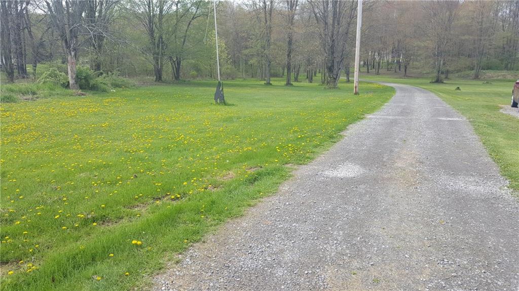2998 Hadley Road Hadley, PA 16130 - Photo 3 of 25 secluded driveway