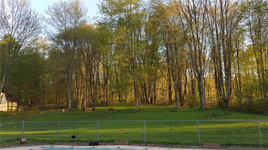 2998 Hadley Road Hadley, PA 16130 - Photo 23 of 25 view from pool area