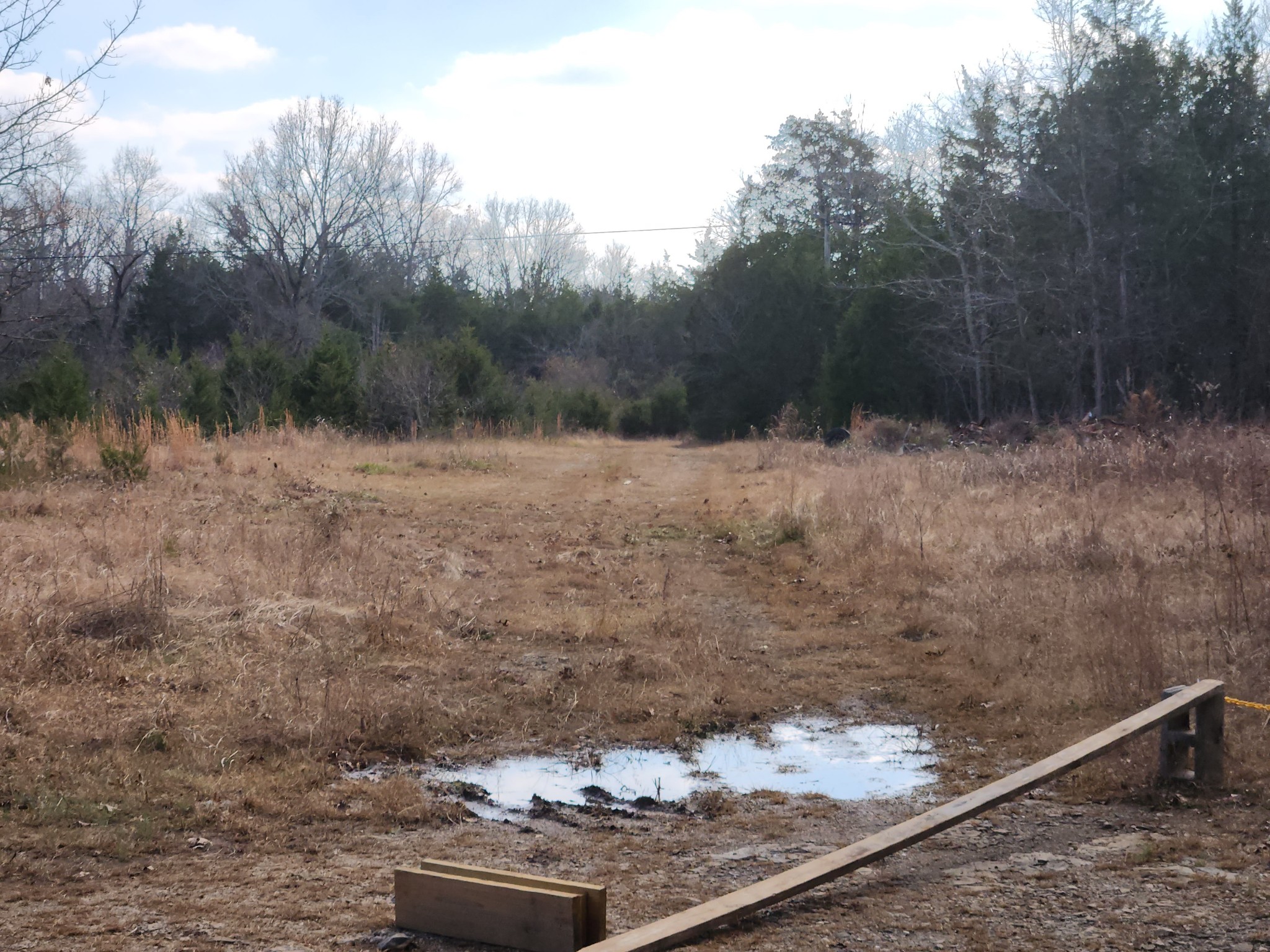 3576 Mahaley Road Chapel Hill, TN 37034 - Photo 15 of 15 a view of a backyard of the house