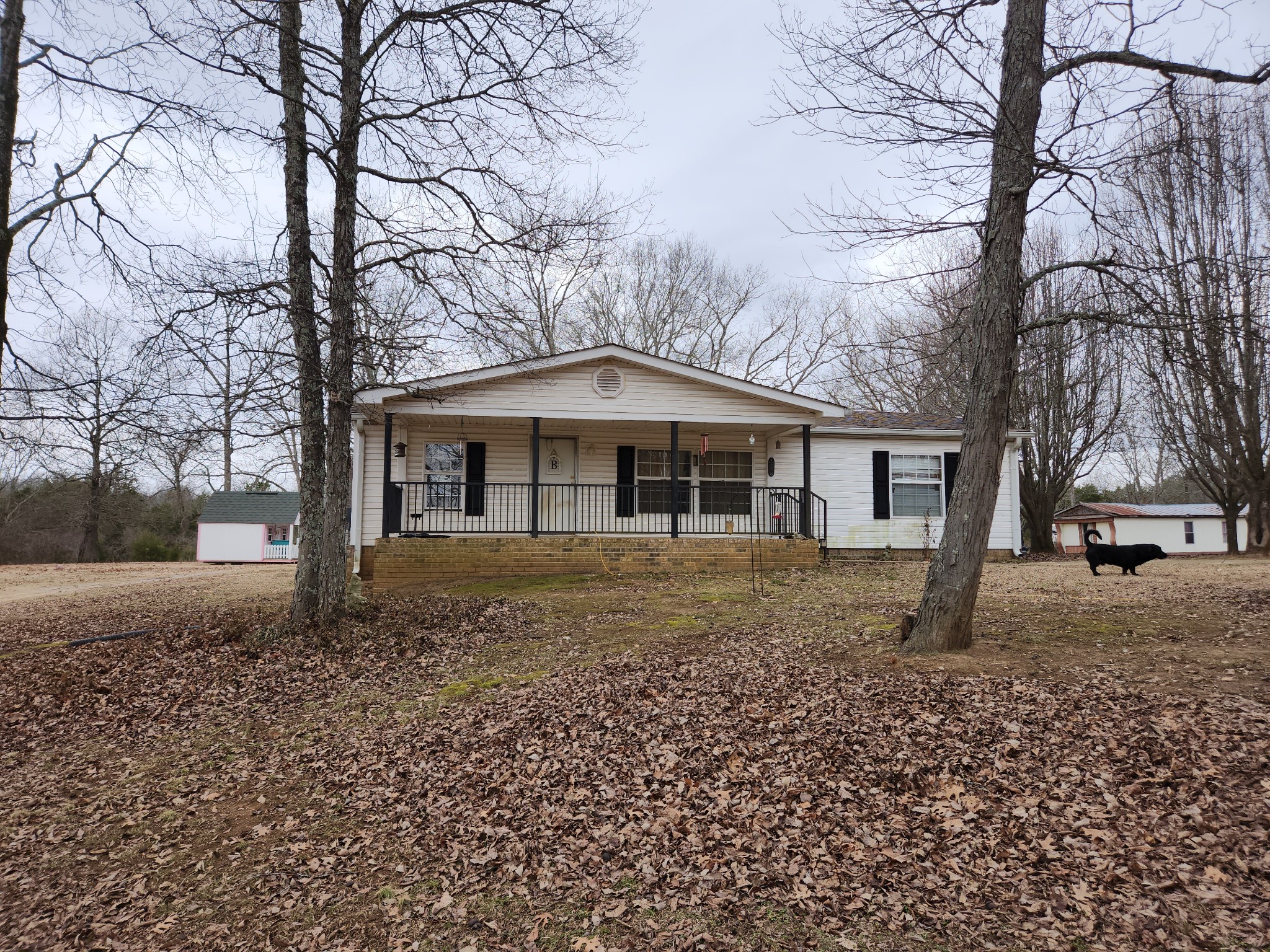 3576 Mahaley Road Chapel Hill, TN 37034 - Photo 6 of 15 a backyard of a house with lots of green space