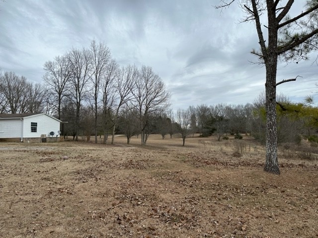 3576 Mahaley Road Chapel Hill, TN 37034 - Photo 7 of 15 a fire hydrant in the middle of a field