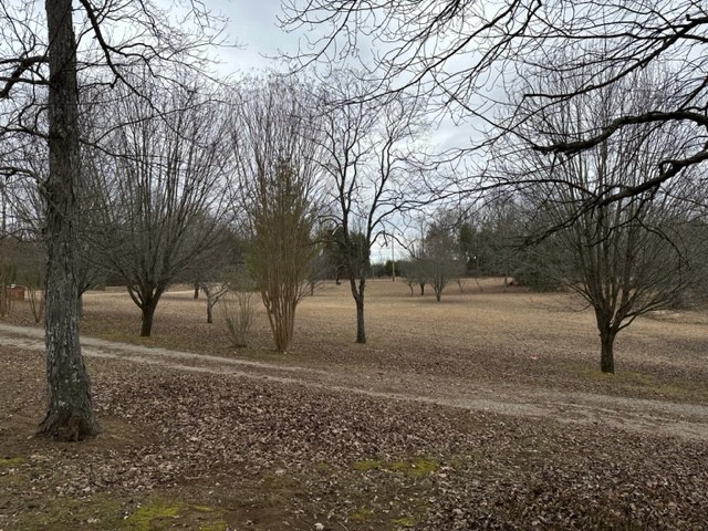 3576 Mahaley Road Chapel Hill, TN 37034 - Photo 8 of 15 a backyard of a house with lots of green space
