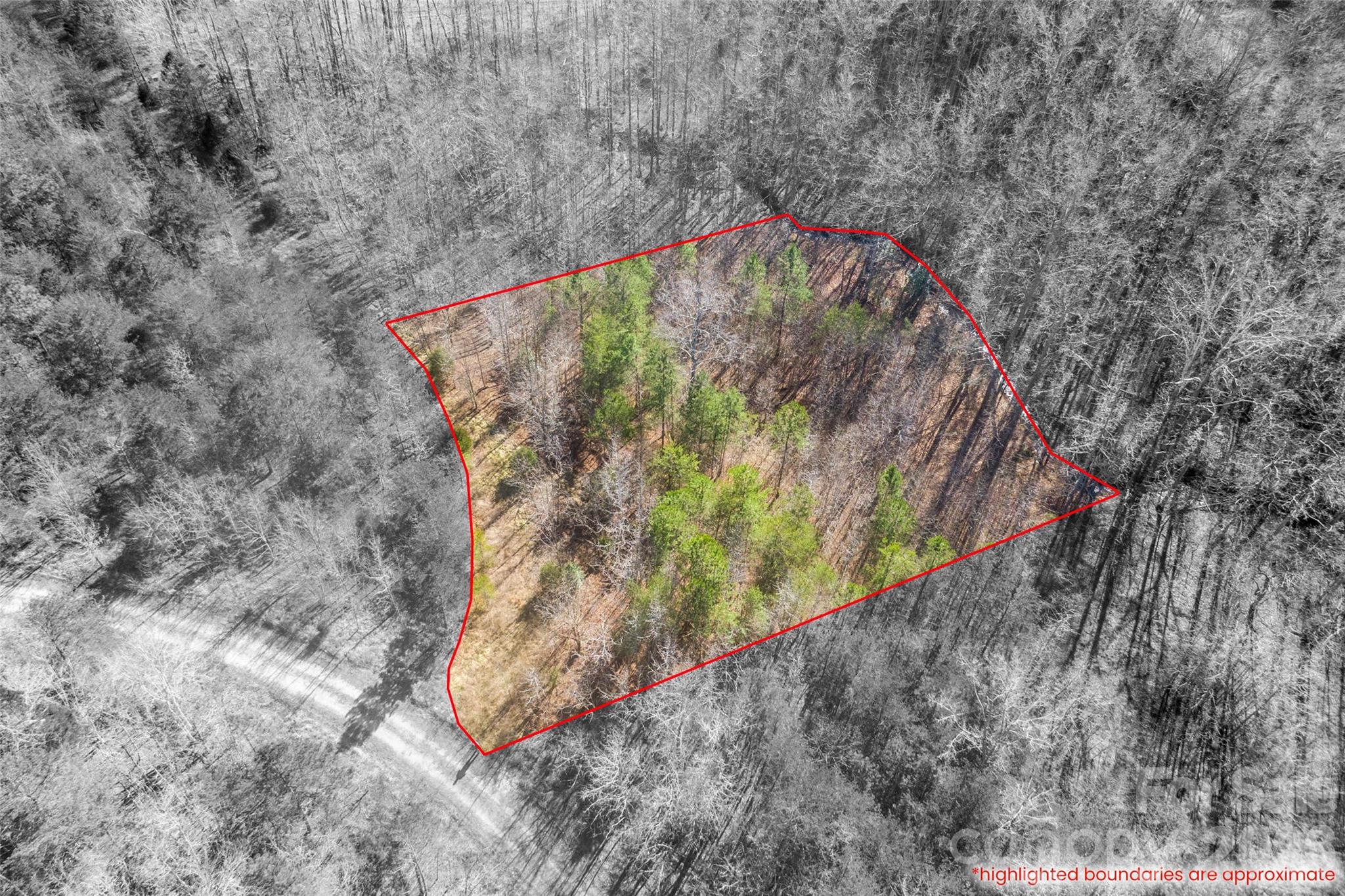 0 Riding Ring Drive, Unit 11 Ellenboro, NC 28040 - Photo 6 of 7