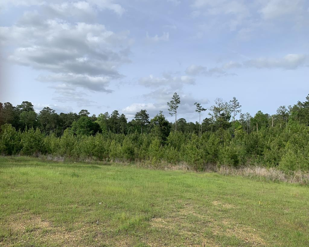 . Macedonia Road Crosby, MS 39633 - Photo 1 of 11 Main View