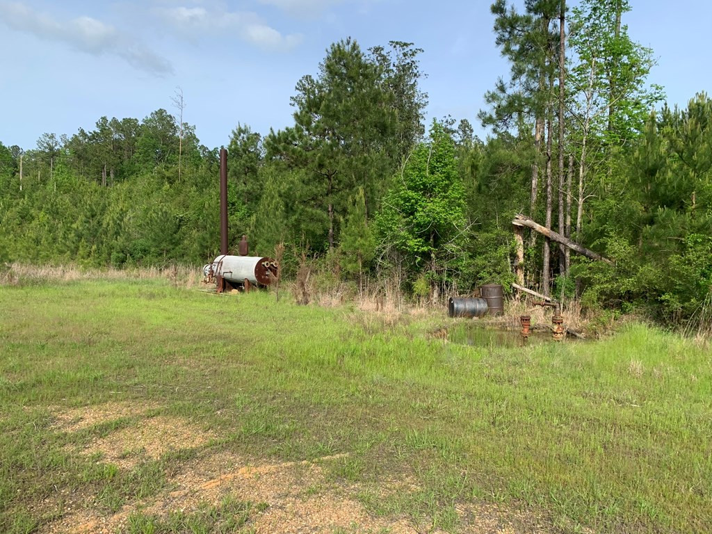 . Macedonia Road Crosby, MS 39633 - Photo 5 of 11 Photo 5