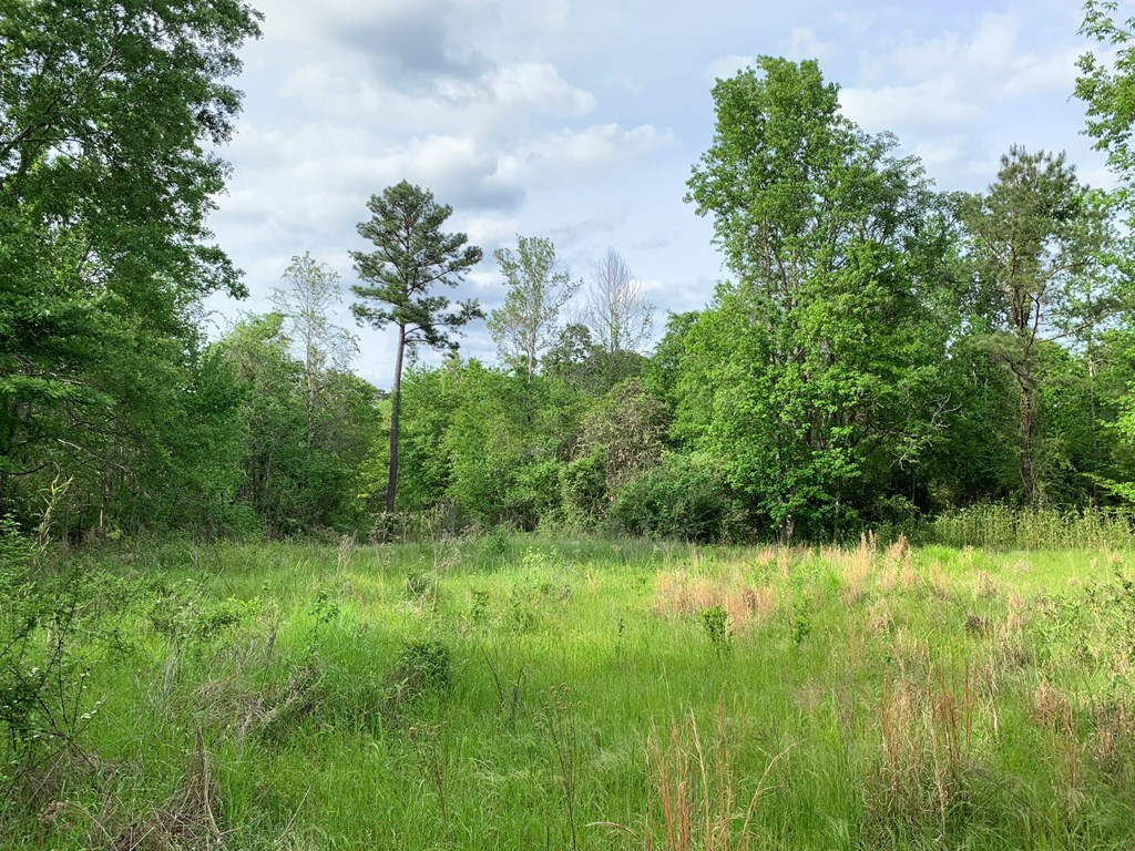 . Macedonia Road Crosby, MS 39633 - Photo 9 of 11 Photo 9