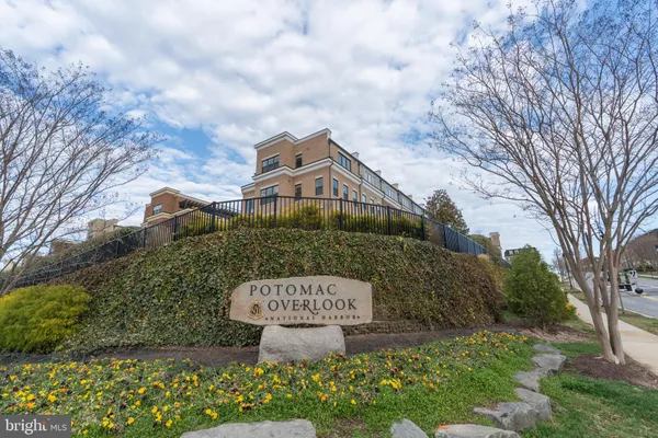 a view of a ocean with boats and large trees