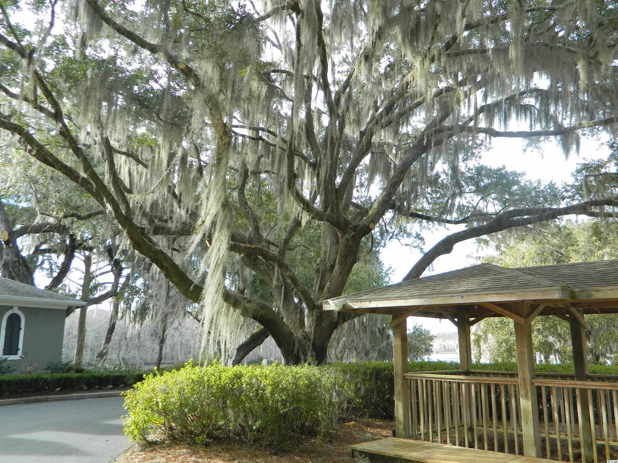 3042 Court Street, Unit 3042 Murrells Inlet, SC 29576 - Photo 34 of 35 Gallery Image 34