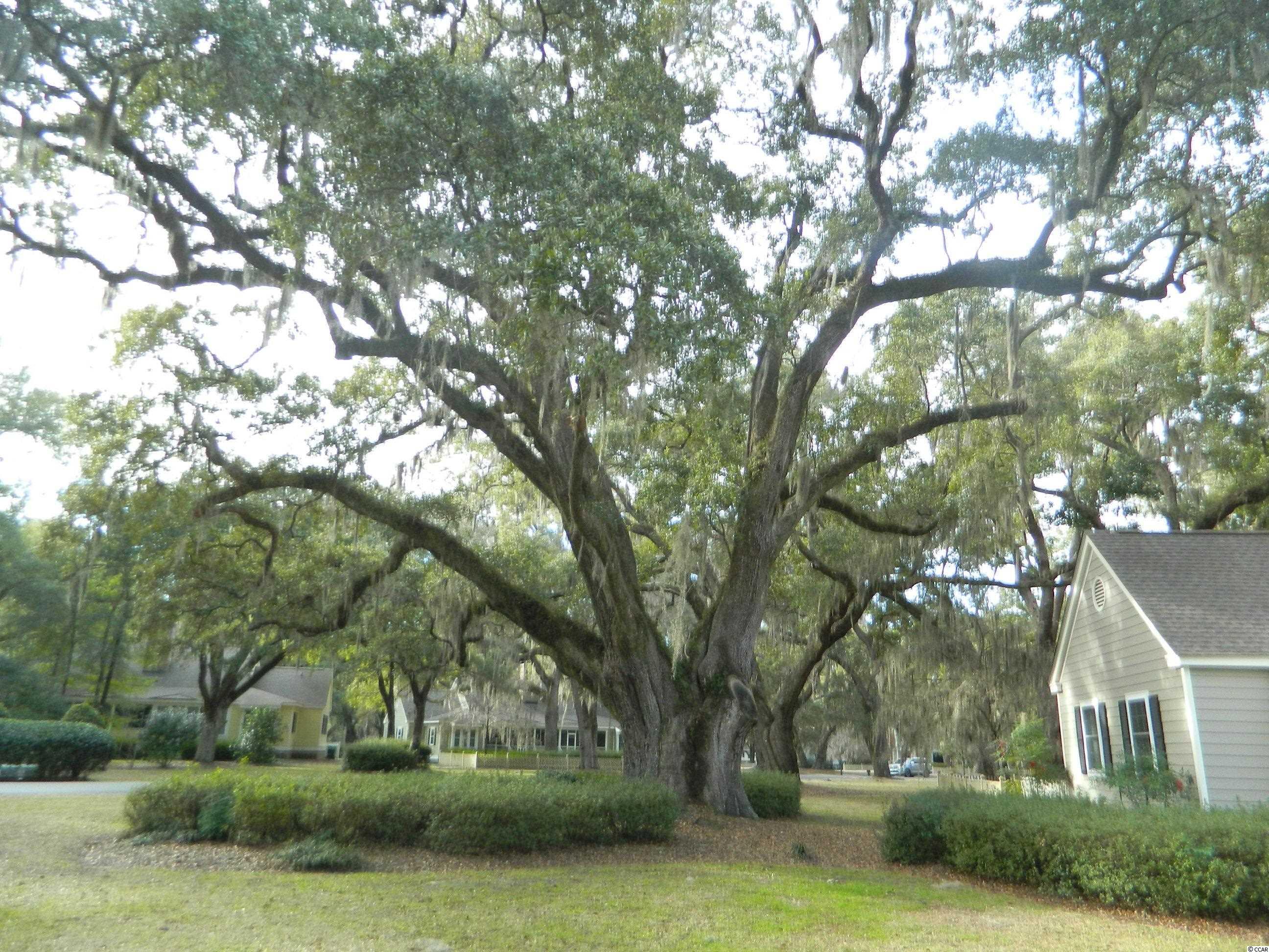 3042 Court Street, Unit 3042 Murrells Inlet, SC 29576 - Photo 35 of 35 Gallery Image 35