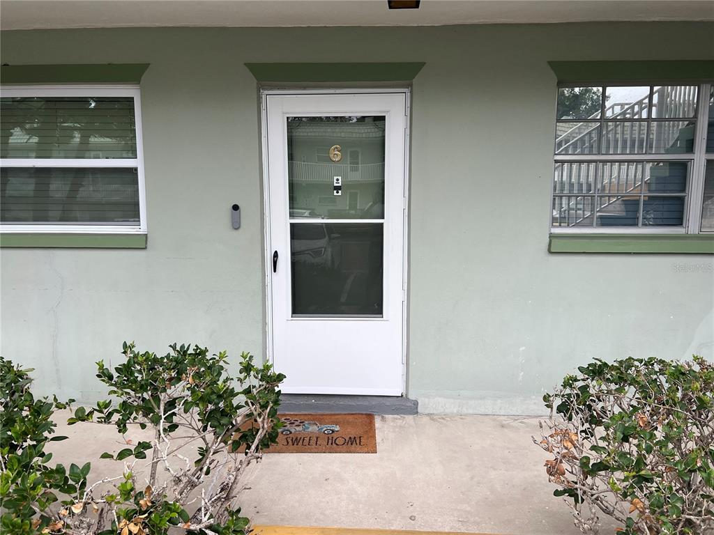 a potted plant sitting in front of a house