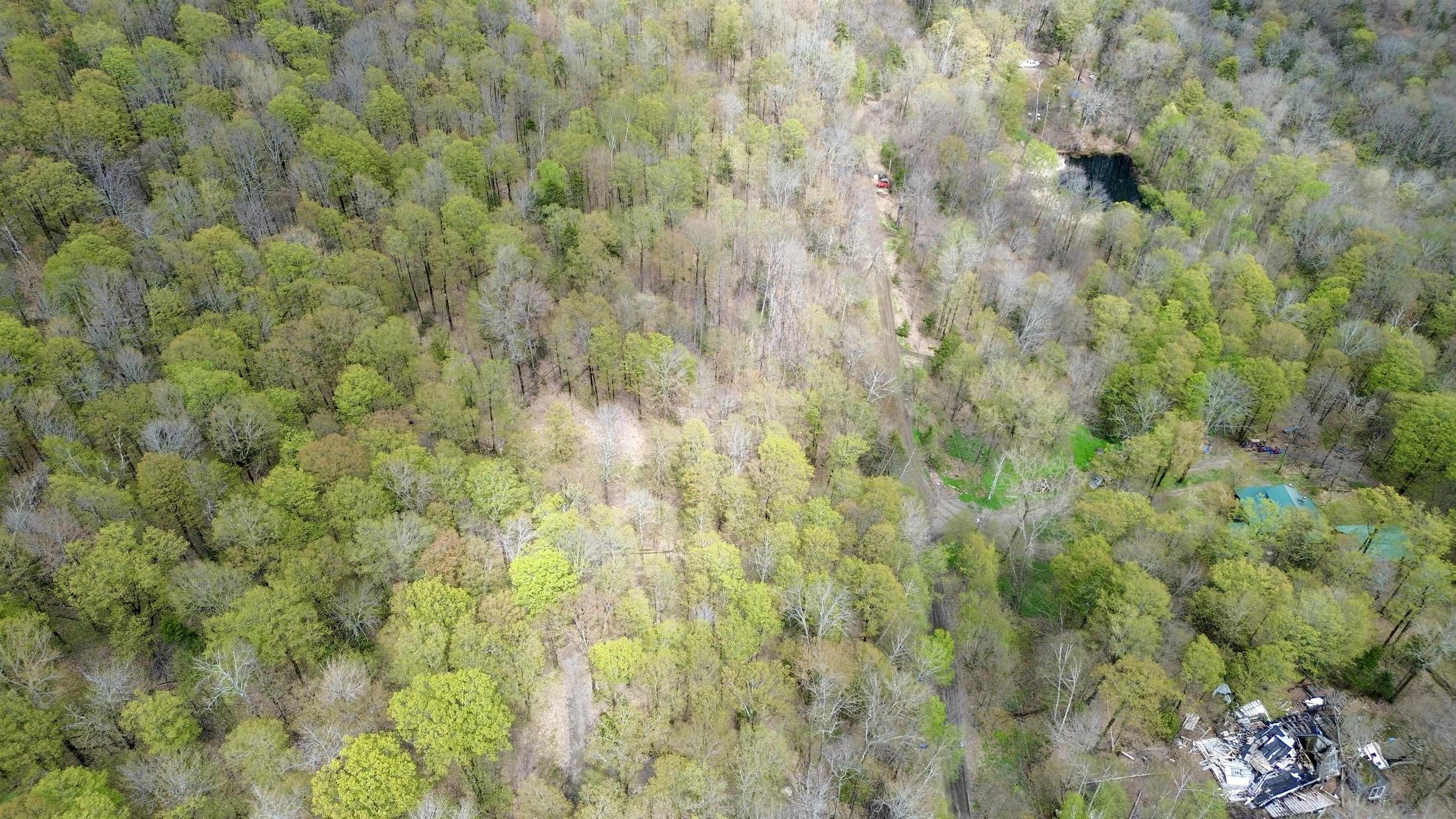220 Middle Road Chittenden, VT 05763 - Photo 8 of 22
