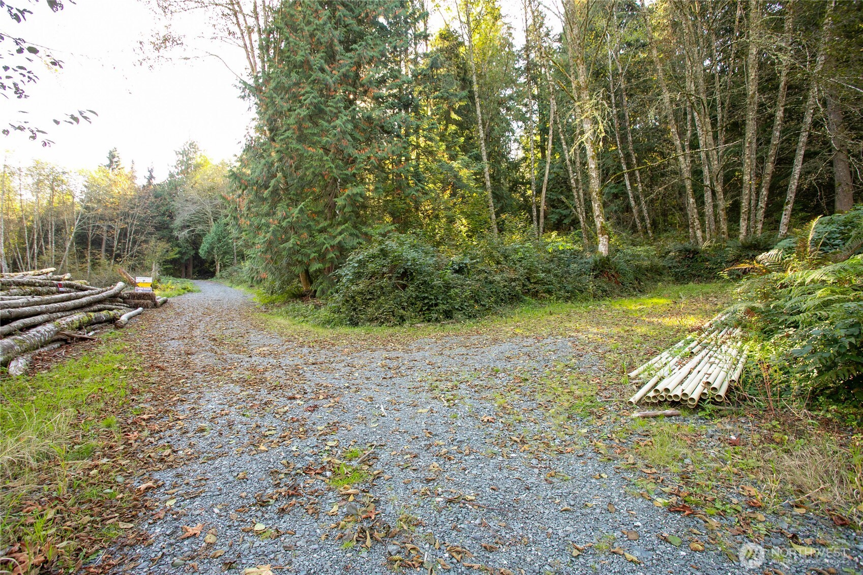 589 Samish Springs Road Bellingham, WA 98229 - Photo 5 of 12 Gallery Image 5