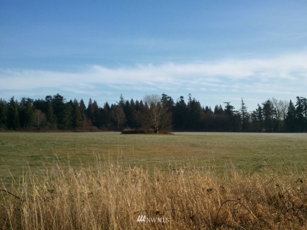 99999 Unick Road Ferndale, WA 98248 - Photo 2 of 5
