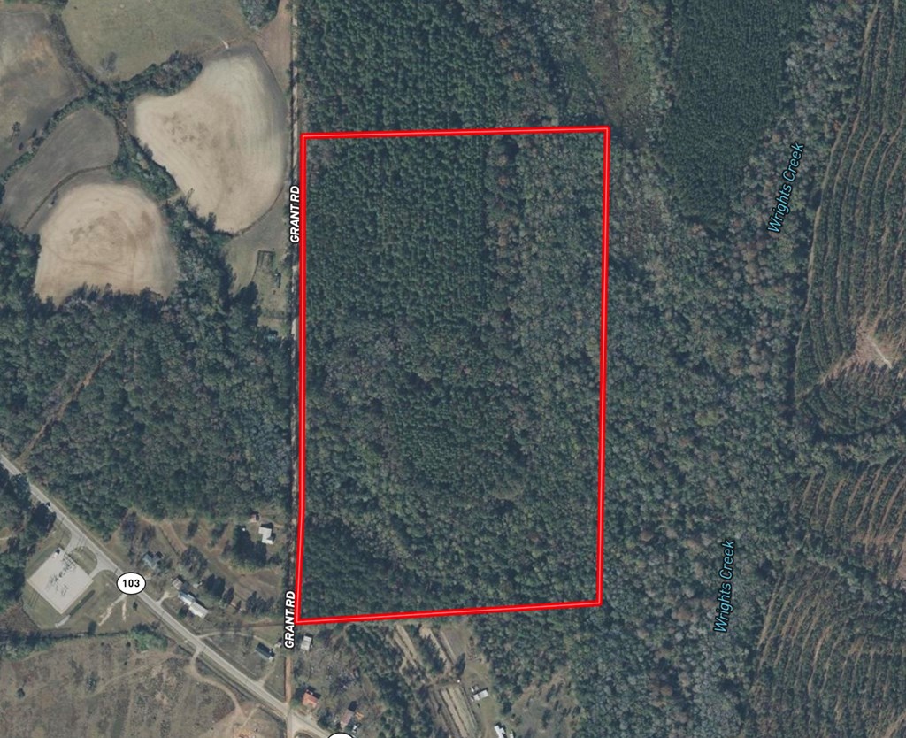 Undisclosed Address Slocomb, AL 36375 - Photo 23 of 23