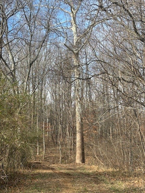 626 Holiday Lake Road, Unit 2 Pamplin, VA 23958 - Photo 2 of 8 Gallery Image 2