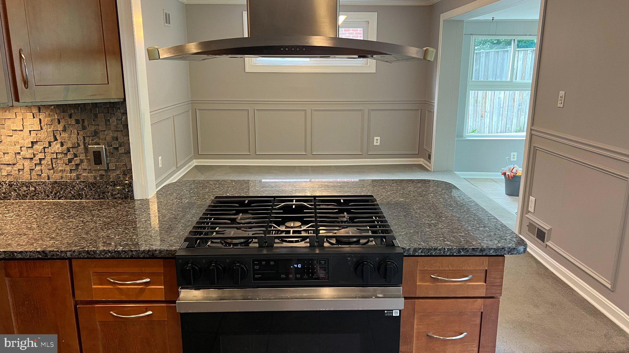 12907 Dean Road Wheaton, MD 20906 - Photo 20 of 39 Gallery Image 20