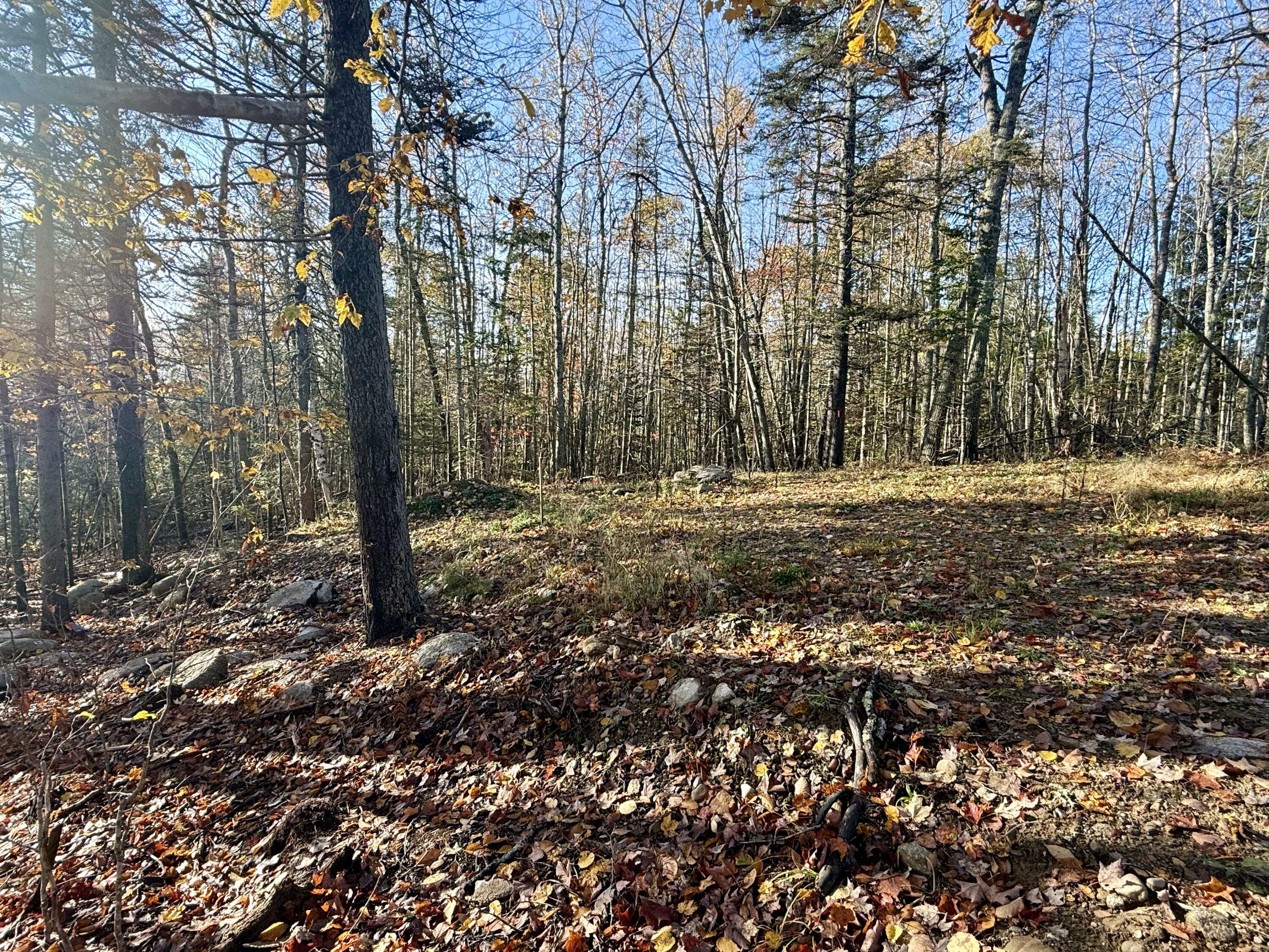 271 U.S. Rte 1 Stockton Springs, ME 04981 - Photo 45 of 47 IMG_7176