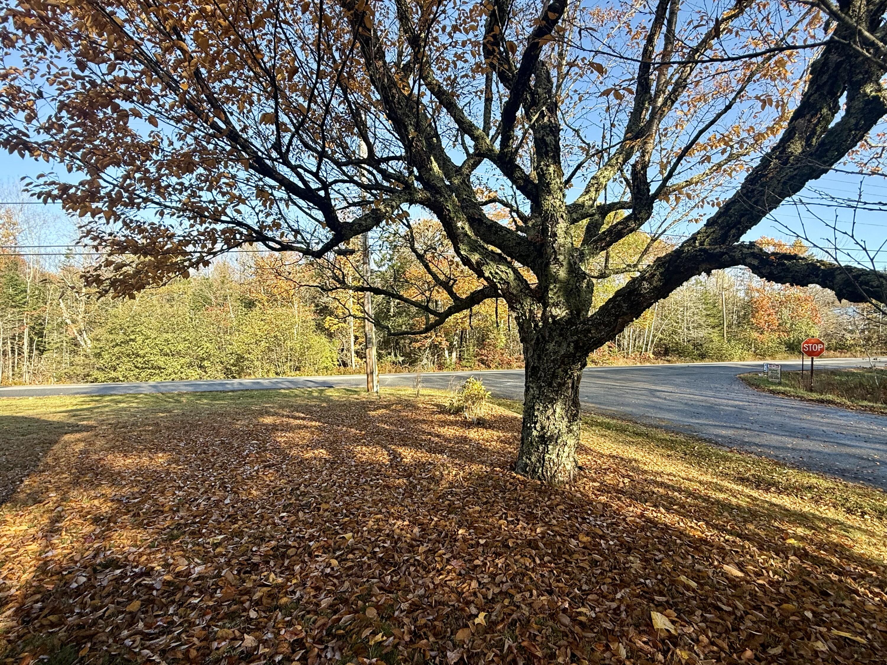 271 U.S. Rte 1 Stockton Springs, ME 04981 - Photo 9 of 47 IMG_7193