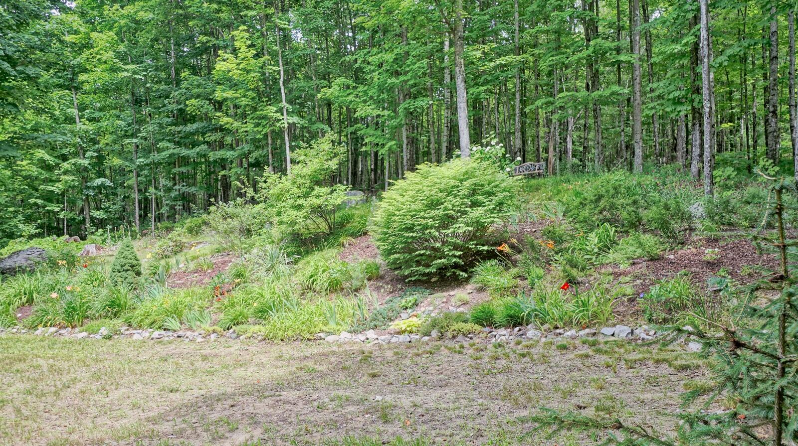 117 Mountain Road Raymond, ME 04071 - Photo 16 of 87 Back yard