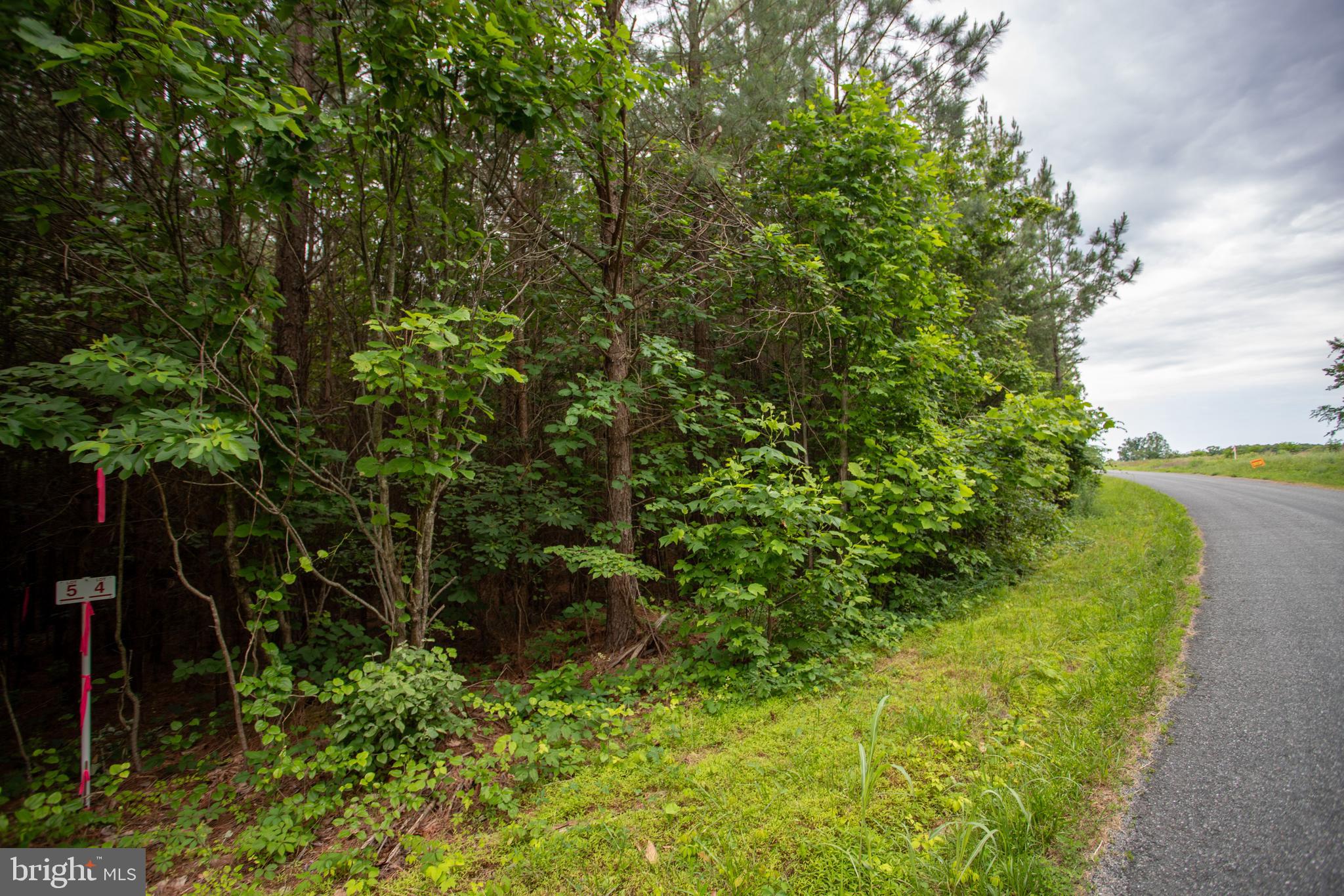 Tbd Trents Cemetery Road, Unit LOT 6 Phenix, VA 23959 - Photo 10 of 19