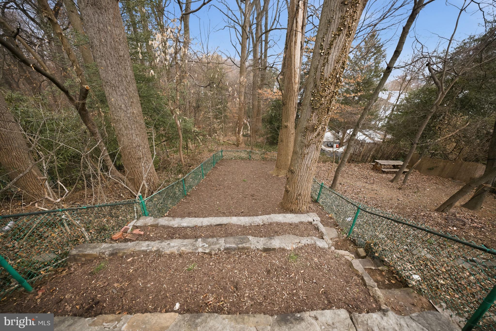 1951 39th Street Northwest Washington, DC 20007 - Photo 31 of 33 Terraced gardens leading to national park trails