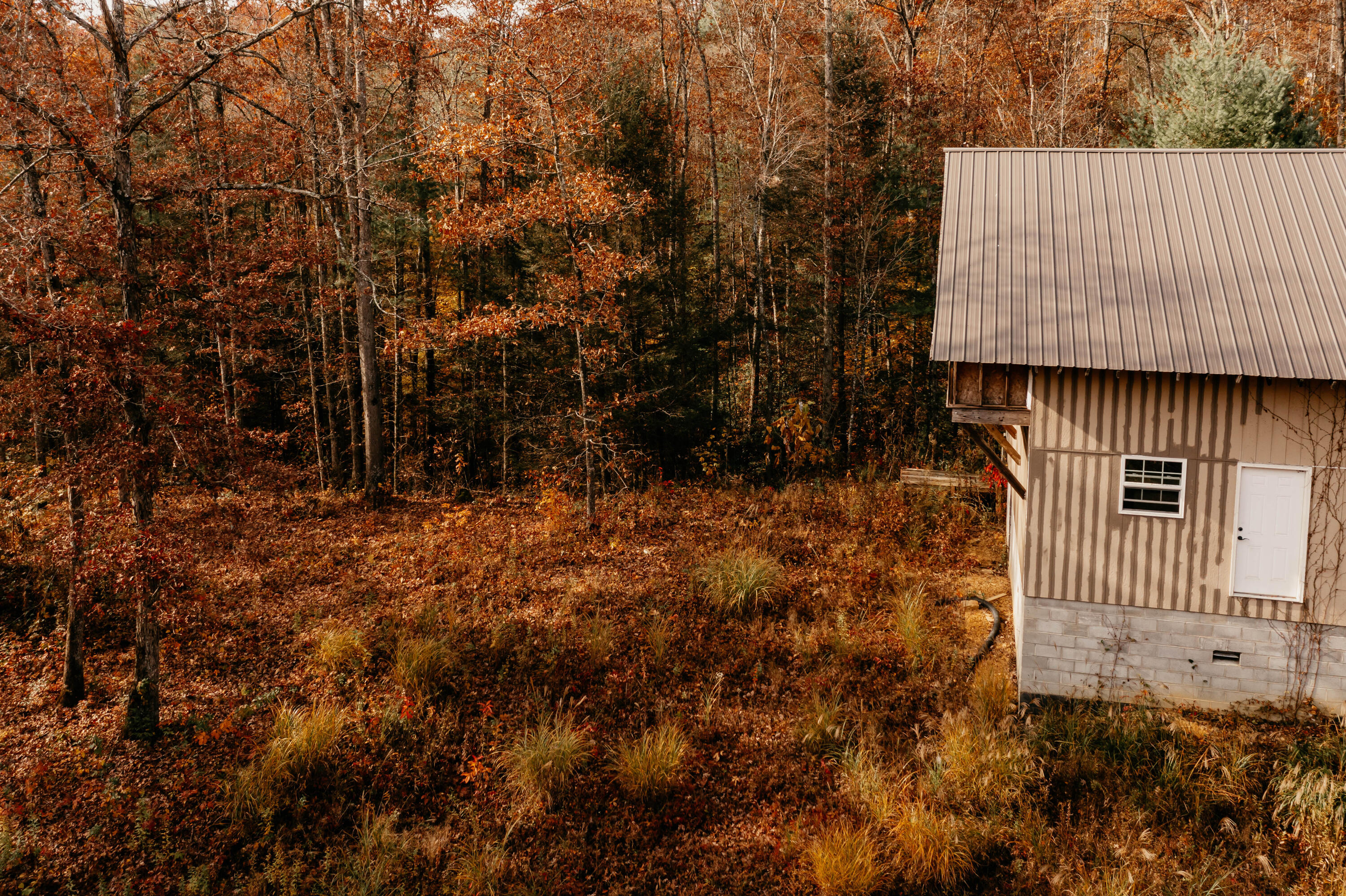514 Adams Road Pine Ridge, KY 41360 - Photo 14 of 51 DJI_0049