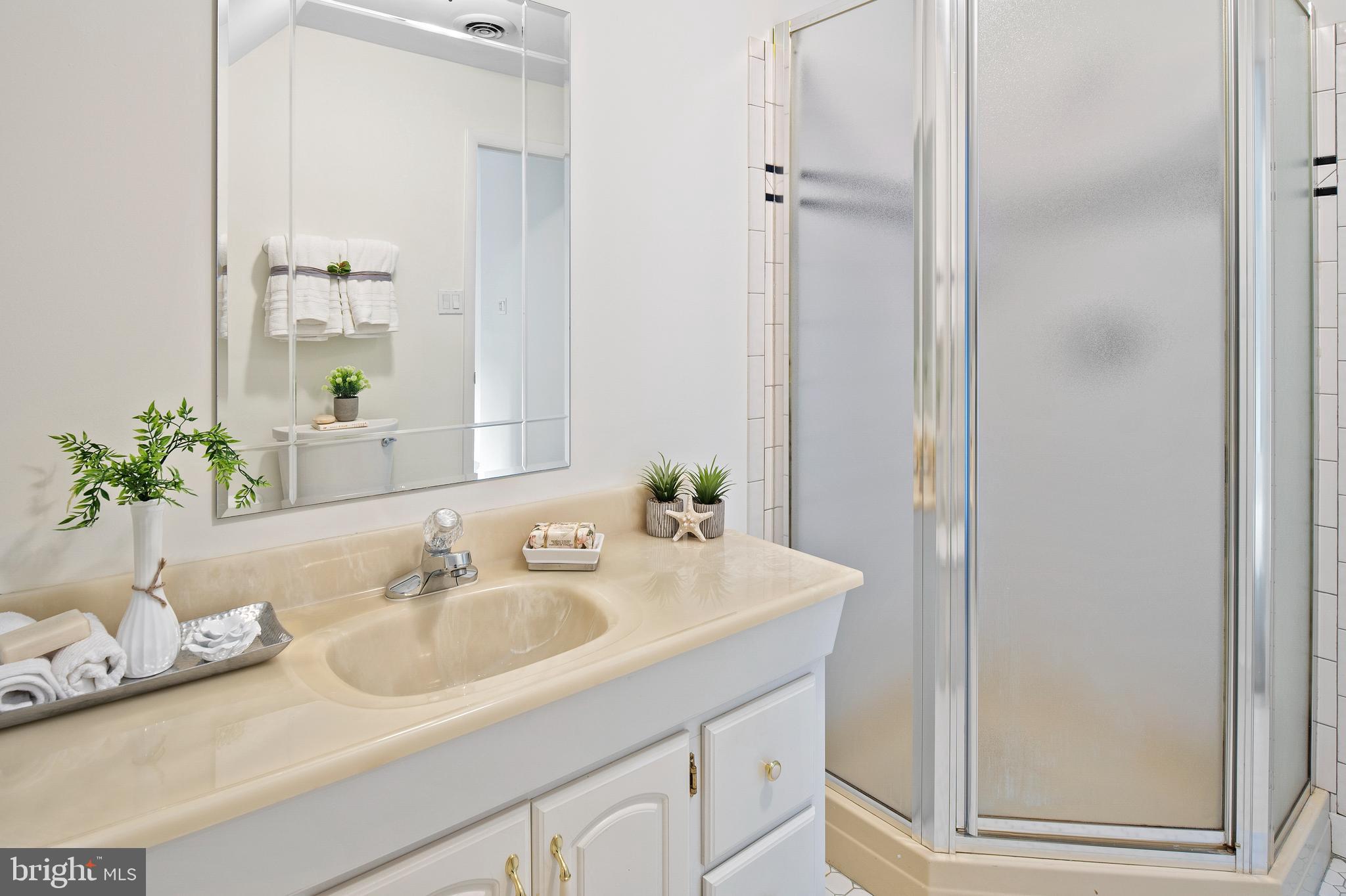 10803 Ashfield Road Adelphi, MD 20783 - Photo 30 of 56 Primary Bathroom