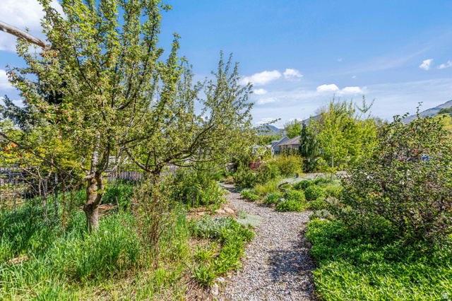 814 Mountain Road Logan, UT 84321 - Photo 36 of 42 Gravel pathway winding through a garden landscape featuring mature trees, diverse plantings, and distant mountain scenery