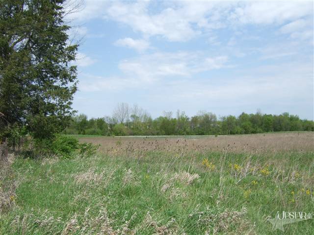 18948 Lochner Road Spencerville, IN 46788 - Photo 3 of 4 Gallery Image 3