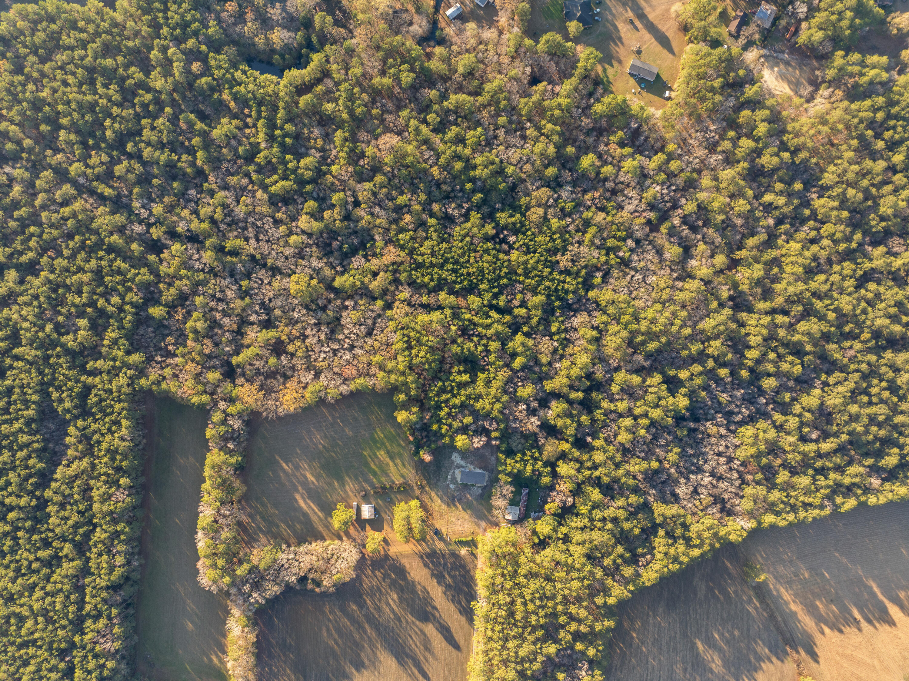 149 Donald Lane Bonneau, SC 29431 - Photo 4 of 11 8.68 acres 149DonaldLn