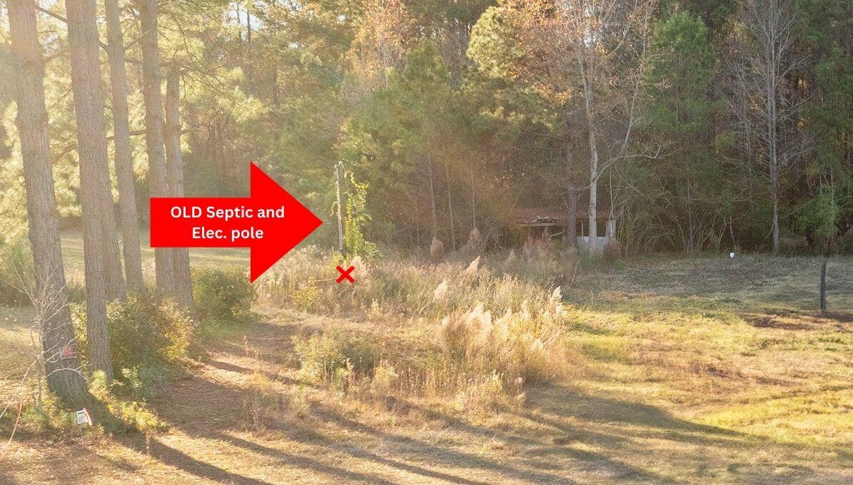 149 Donald Lane Bonneau, SC 29431 - Photo 5 of 11 OLD Septic and Elec. pole (1)