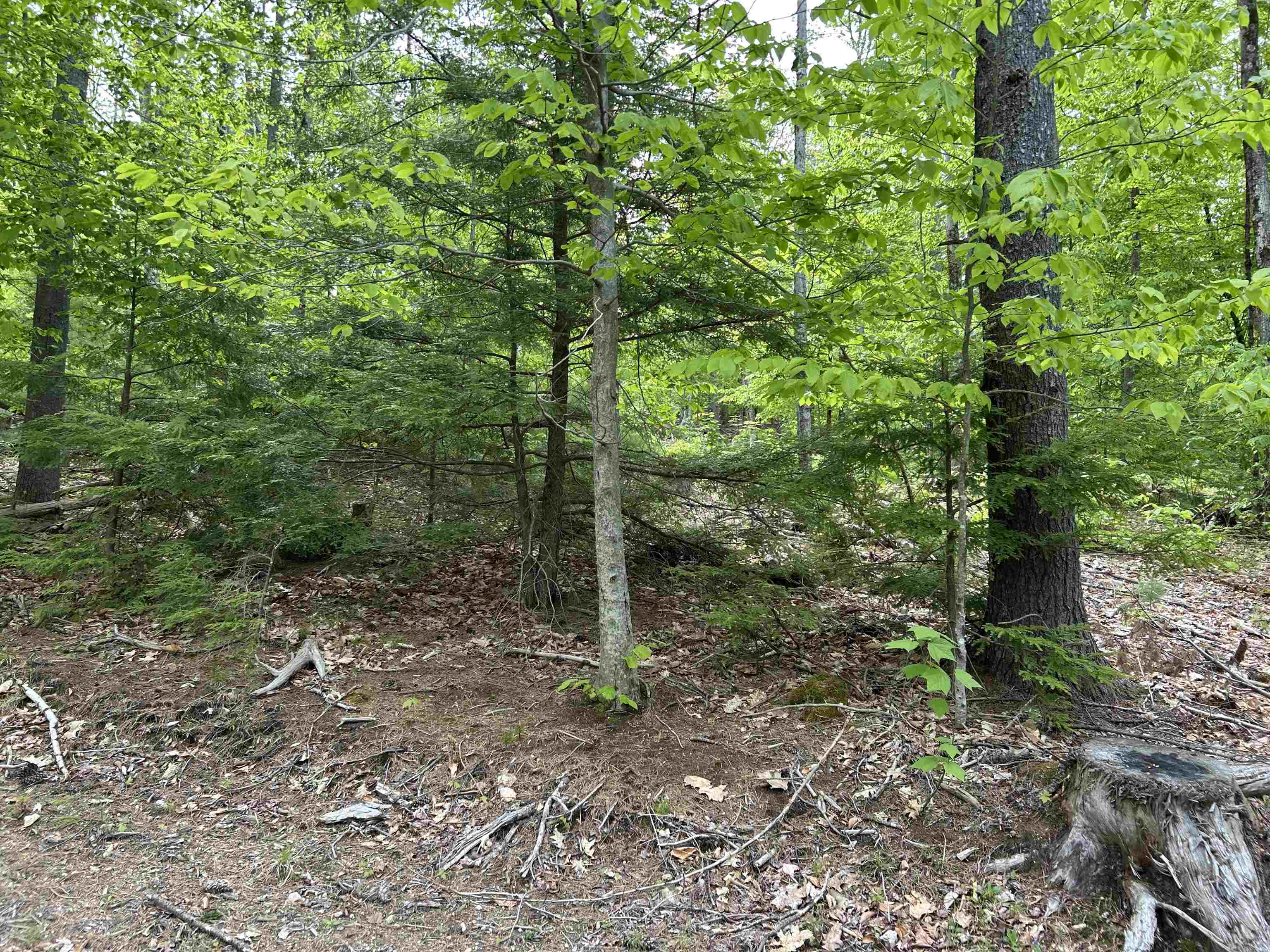 0 Pound Road North North Sutton, NH 03260 - Photo 51 of 51