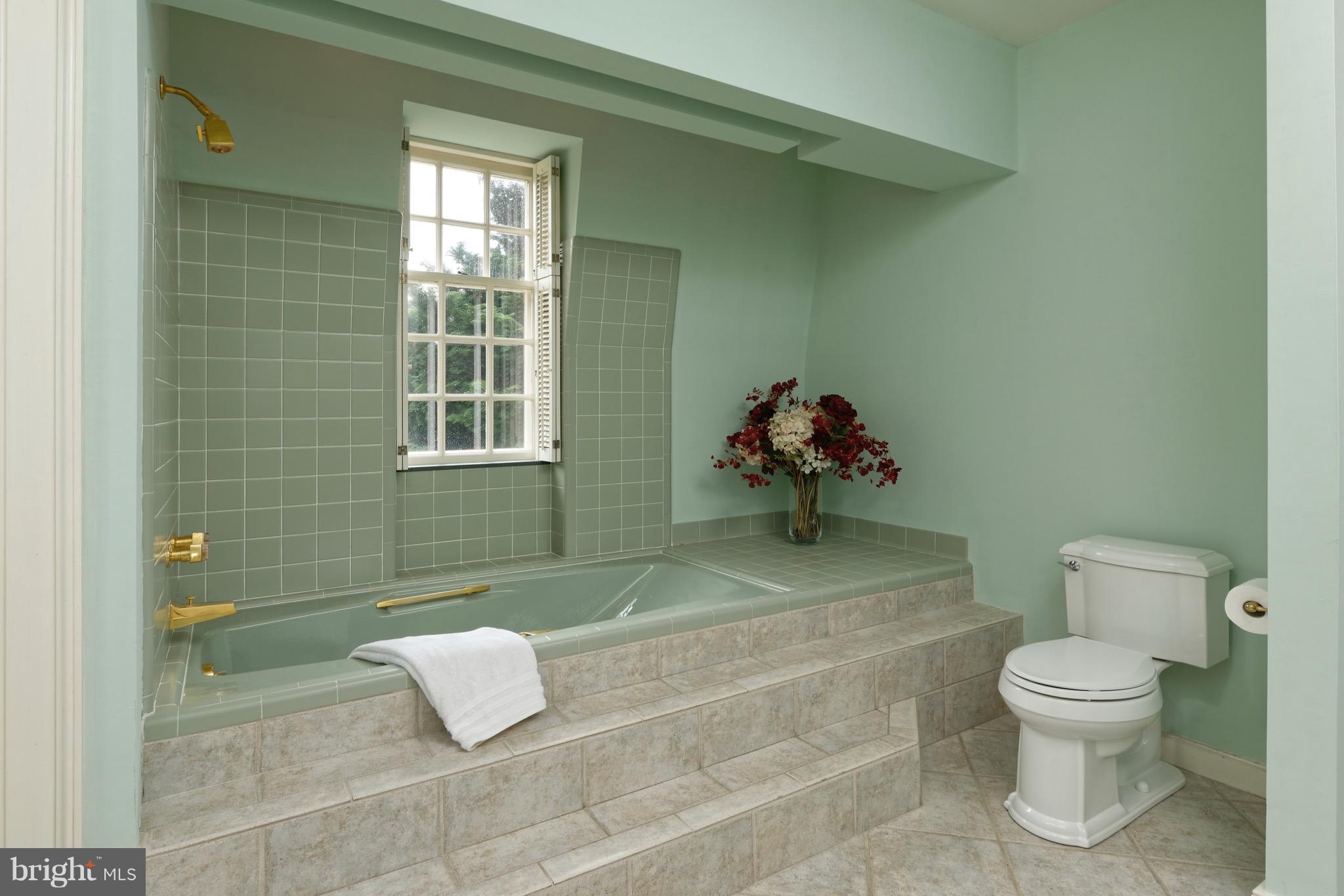 23355 Parsons Road Middleburg, VA 20117 - Photo 16 of 30 Soaking tub along w/a separate shower in Master BA