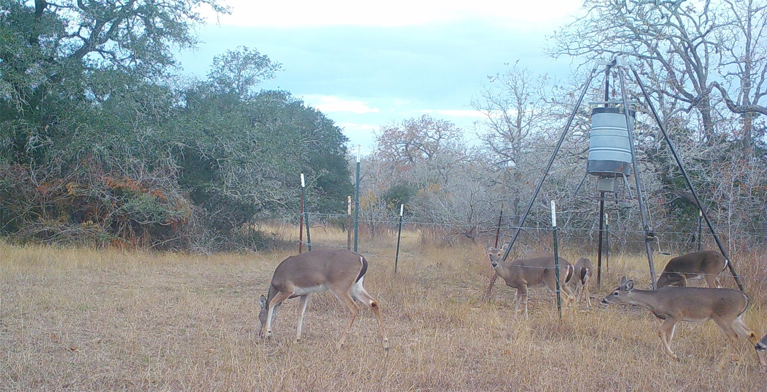 0 Old Seguin Luling Road Kingsbury, TX 78638 - Photo 12 of 27 a view of a yard with a table and chairs