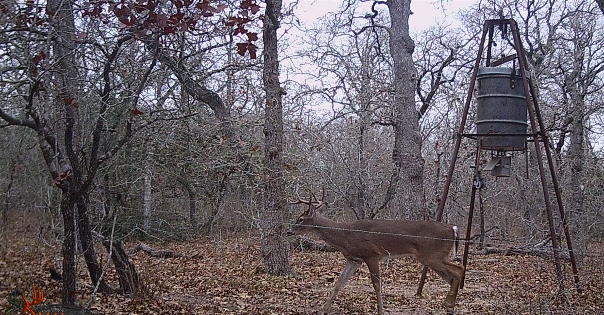 0 Old Seguin Luling Road Kingsbury, TX 78638 - Photo 16 of 27 a backyard of a house with lots of green space