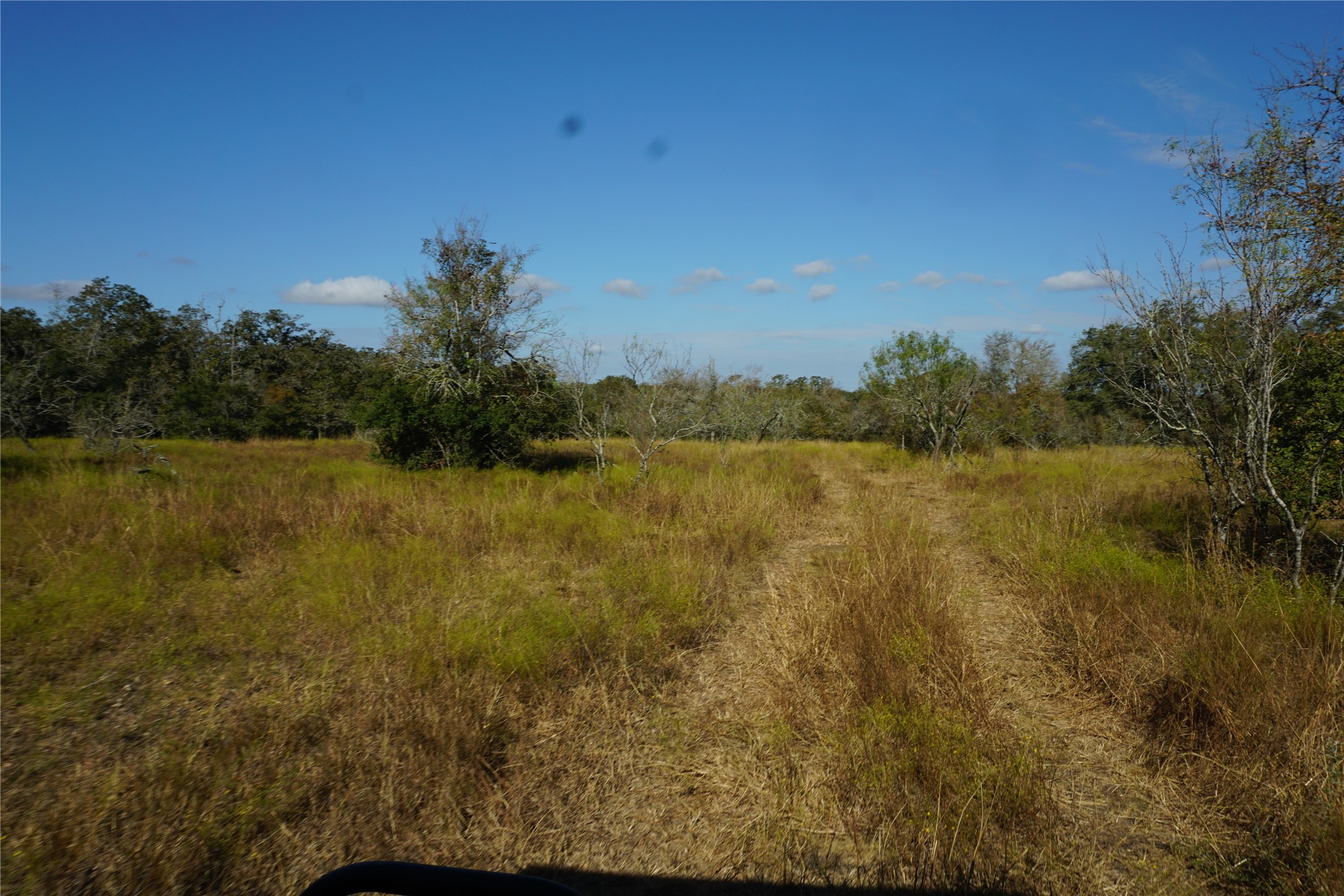0 Old Seguin Luling Road Kingsbury, TX 78638 - Photo 17 of 27 a view of a lake with outdoor space