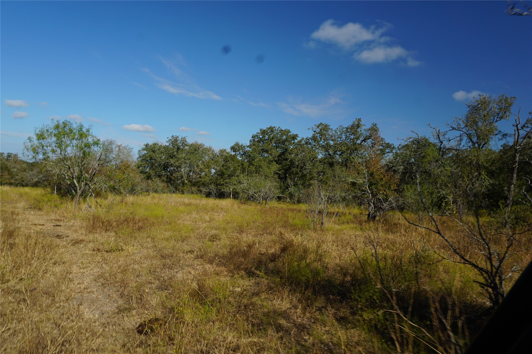 0 Old Seguin Luling Road Kingsbury, TX 78638 - Photo 18 of 27 a view of a yard with a tree