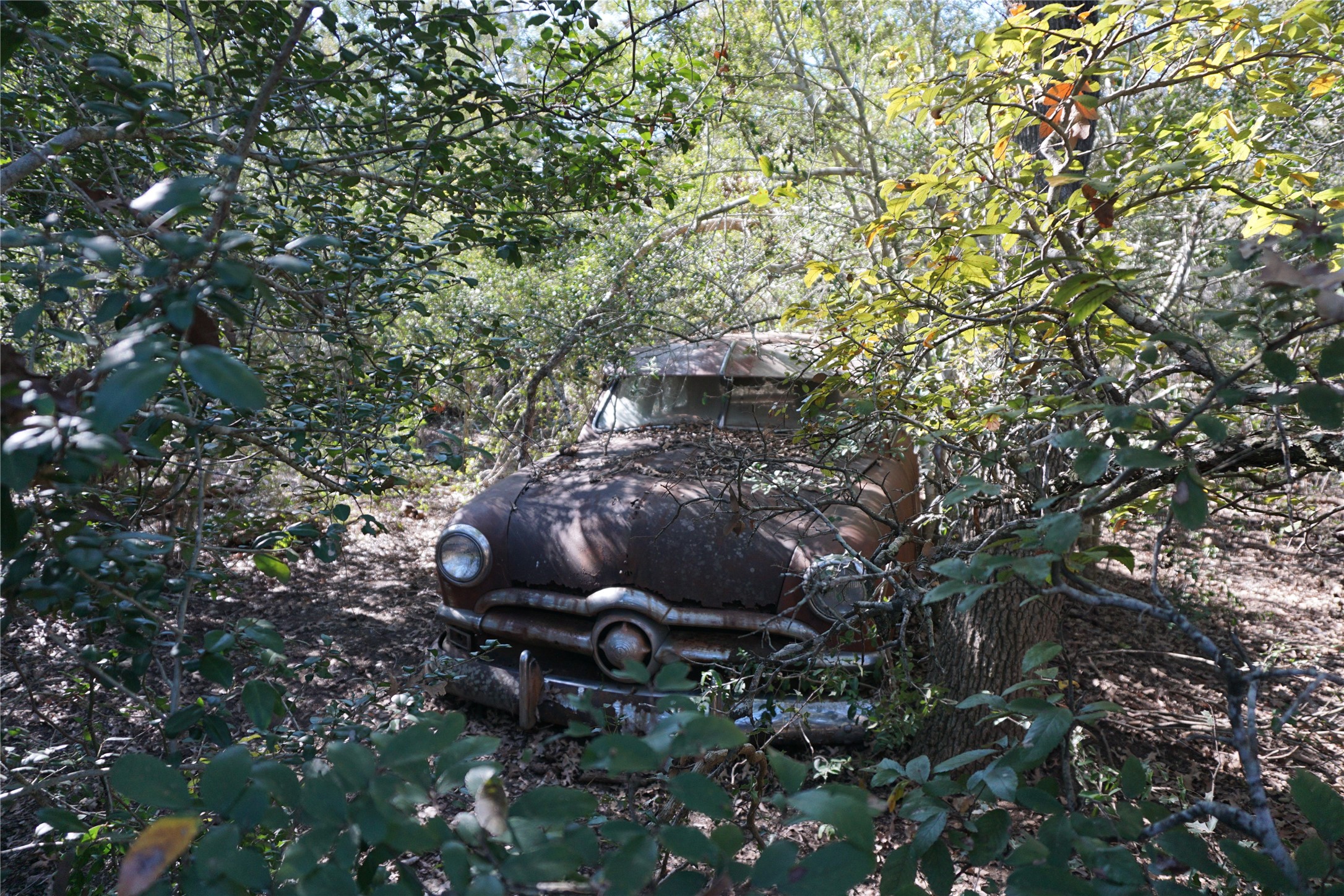 0 Old Seguin Luling Road Kingsbury, TX 78638 - Photo 19 of 27 a view of an outdoor space