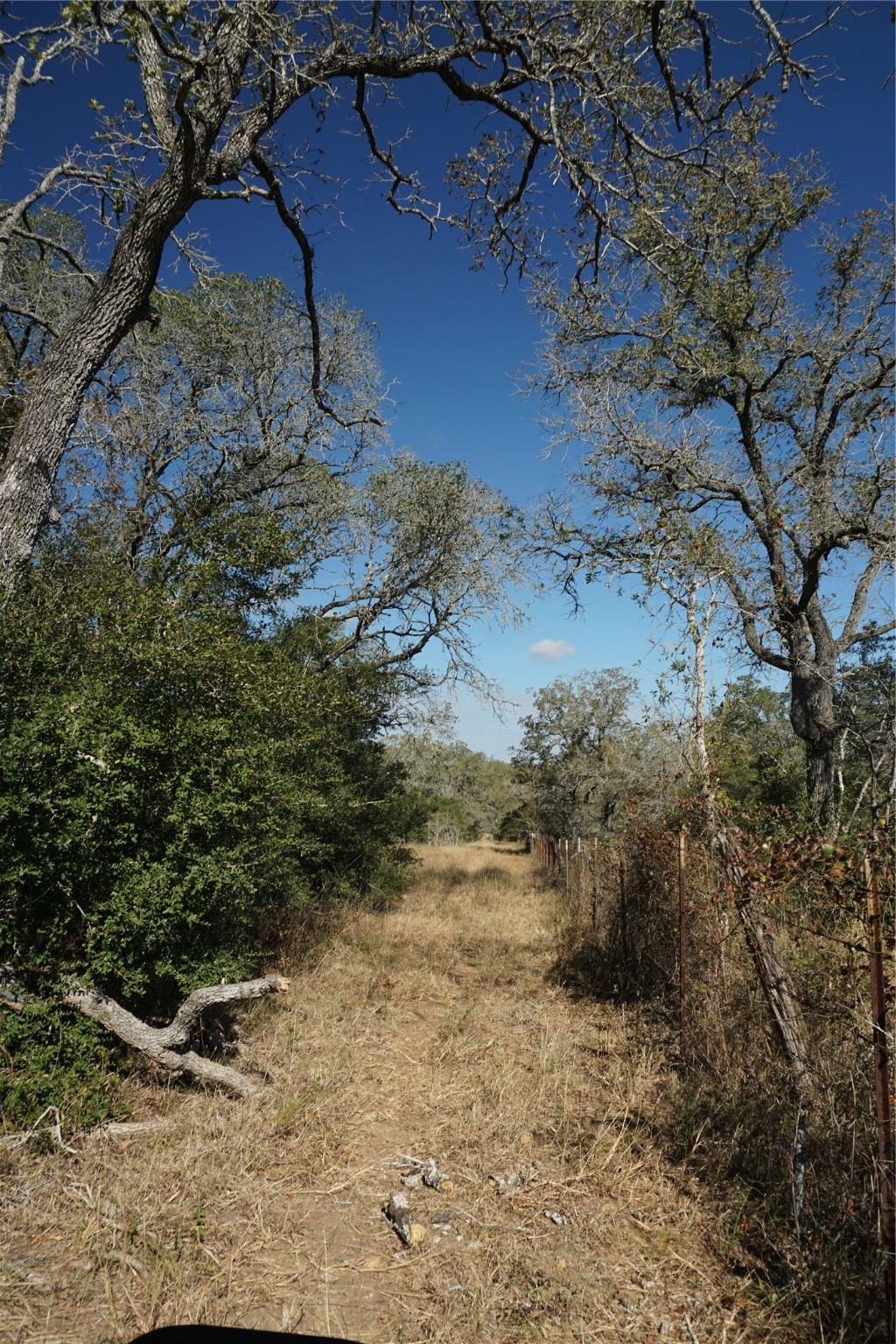 0 Old Seguin Luling Road Kingsbury, TX 78638 - Photo 22 of 27 a view of a yard with wooden fence