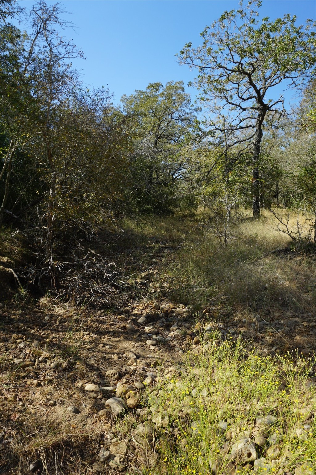 0 Old Seguin Luling Road Kingsbury, TX 78638 - Photo 23 of 27 a view of a yard